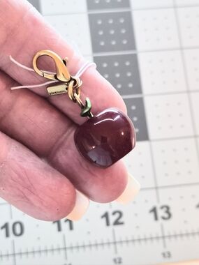 Coach Brand New DIY Apple Charm CCX70